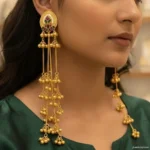 Amara kashmiri Earring