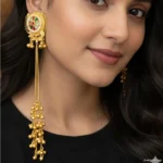 Anvi kashmiri Earrings